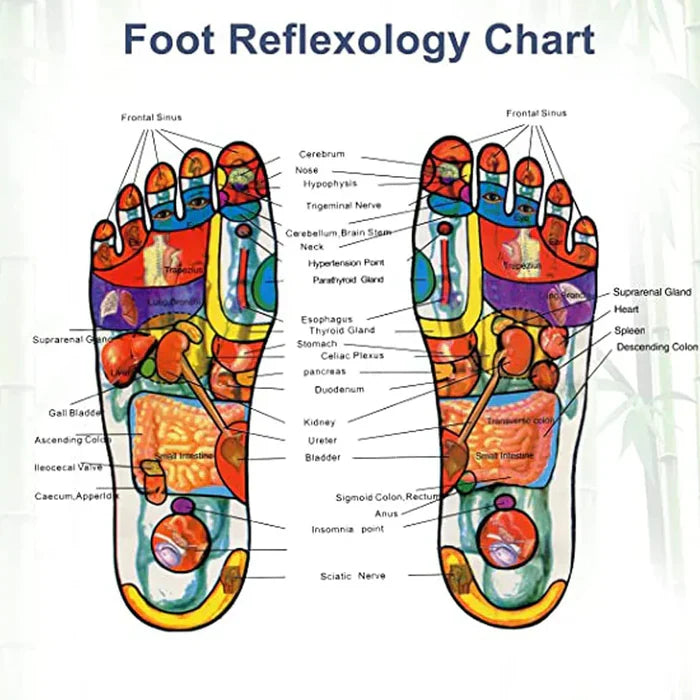 KINOKI Foot Pads (Buy 1 Get 1 Free)